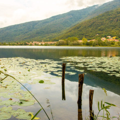 Vista del lago en Camping Al Lago di Lago, un parque de vacaciones en Véneto, Italia, con montañas y lirios de agua.