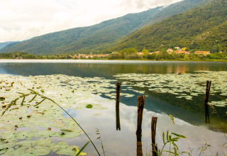 Zicht op het meer bij Camping Al Lago di Lago in Veneto, Italië, met bergen en waterlelies op de voorgrond.