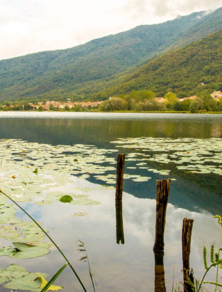 Vista del lago en Camping Al Lago di Lago, un parque de vacaciones en Véneto, Italia, con montañas y lirios de agua.