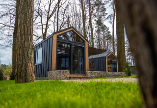 Tiny House en Hoge Kempen, Bélgica, diseño moderno con ventanas grandes, situado entre árboles altos.