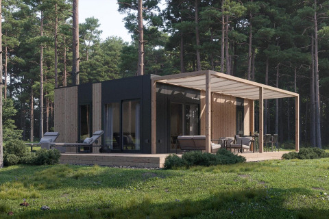 Lodge Thor Cottage en Hoge Kempen, Bélgica, casa de madera moderna con terraza en un bosque de pinos.
