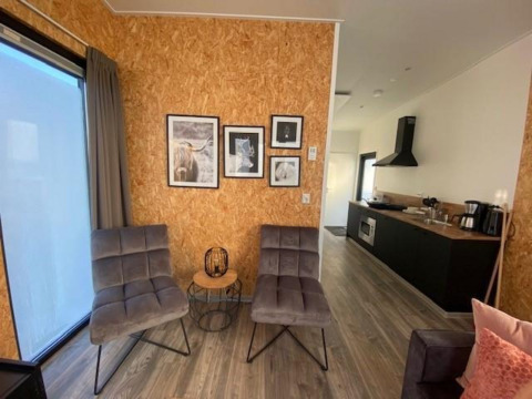 Soggiorno con poltrone moderne, quadri e cucina aperta a Just Nature Light lodge sulle IJssel Islands.