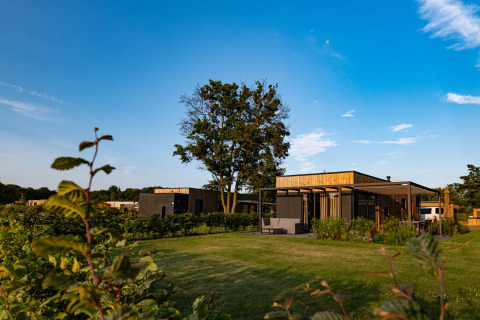 Casas vacacionales modernas en Hofparken Wiltershaar, Gelderland, Países Bajos, rodeadas de césped y árboles.