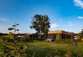 Casas vacacionales modernas en Hofparken Wiltershaar, Gelderland, Países Bajos, rodeadas de césped y árboles.