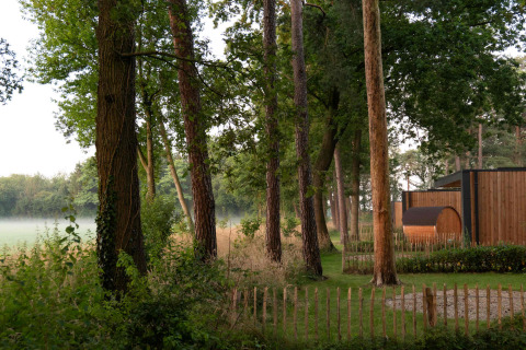 Paisaje boscoso con árboles y cabaña de madera en Hofparken Wiltershaar, parque vacacional en Gelderland, Países Bajos.
