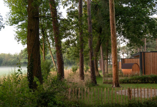 Paysage boisé avec arbres et cabane en bois à Hofparken Wiltershaar, parc de vacances en Gueldre, Pays-Bas.
