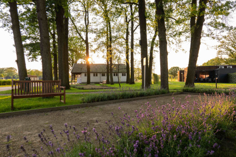 Sunset at Hofparken Wiltershaar holiday park, benches, trees, and blooming flowers in Gelderland, Netherlands.