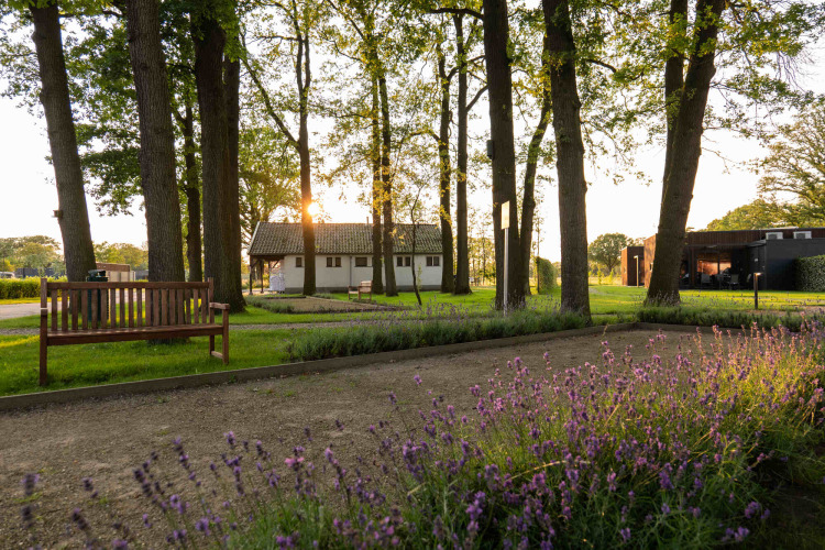 Solnedgang i en fredelig park ved Hofparken Wiltershaar med bænke, blomster og træer i Gelderland.