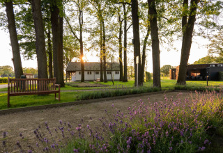 Sunset at Hofparken Wiltershaar holiday park, benches, trees, and blooming flowers in Gelderland, Netherlands.