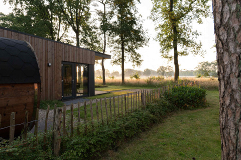 Moderne houten lodge in Hofparken Wiltershaar, Gelderland, Nederland, omgeven door bomen en groen.