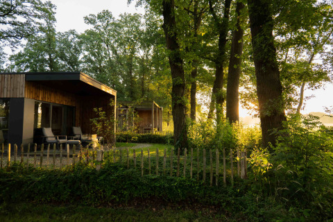 Cabane moderne à Hofparken Wiltershaar à Gelderland, entourée d’arbres verts sous la lumière du soir.
