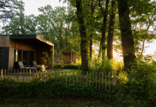 Modern cabin at Hofparken Wiltershaar holiday park in Gelderland, Netherlands, surrounded by green trees.