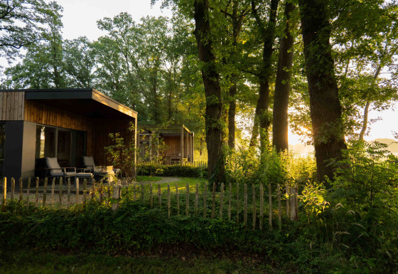 Moderne hytte i træ ved Hofparken Wiltershaar, omgivet af grønne træer og aftenlys i Gelderland.