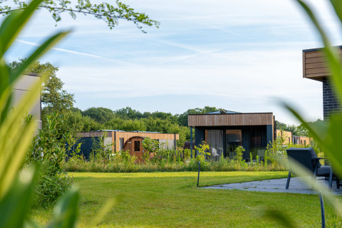 Moderne vakantiewoningen met houten gevels en groene omgeving in Hofparken Wiltershaar, Gelderland, Nederland