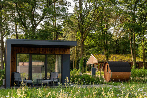 Cabaña moderna y sauna de barril entre árboles en el parque vacacional Hofparken Wiltershaar, Gelderland, Países Bajos.