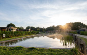Sunrise over a tranquil pond surrounded by holiday lodges at Hofparken Wiltershaar, Gelderland, Netherlands.