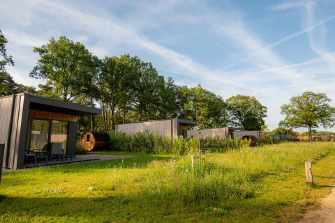 Chalets modernes entourés de verdure à Hofparken Wiltershaar, un parc de vacances en Gueldre, Pays-Bas.