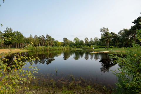 Rolig sø med træer og grønne omgivelser i Hofparken De Bergvennen, en feriepark i Overijssel, Holland.