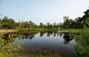 Rolig sø med træer og grønne omgivelser i Hofparken De Bergvennen, en feriepark i Overijssel, Holland.