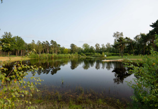 Rolig sø med træer og grønne omgivelser i Hofparken De Bergvennen, en feriepark i Overijssel, Holland.