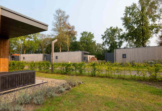 Moderne ferieboliger på Hofparken De Bergvennen i Overijssel, Holland, omgivet af grønne træer og buske.