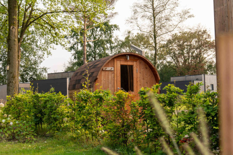 Cabaña de madera rodeada de arbustos verdes en Hofparken De Bergvennen, parque vacacional en Overijssel, Países Bajos.