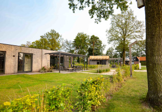 Træbeklædte ferieboliger i Hofparken De Bergvennen, Overijssel, omgivet af grønne områder og træer.