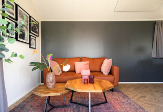 Lichte, moderne woonkamer met bruine bank, kleurrijke kussens en bloemen bij Velthorst Lodge, IJssel Eilanden, Nederland.