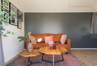 Helles Wohnzimmer mit braunem Sofa, bunten Kissen und Pflanzen im Velthorst-Lodge auf den IJssel-Inseln, Niederlande.