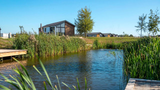 Tiny house genaamd Berkel aan een vijver, omgeven door riet en bomen onder een heldere blauwe hemel.