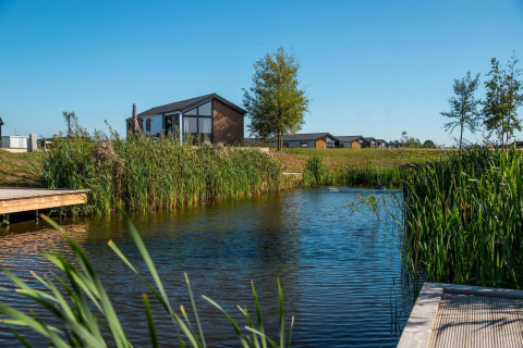 Kleines Haus namens Berkel an einem ruhigen Teich, umgeben von Schilf und Bäumen unter blauem Himmel.