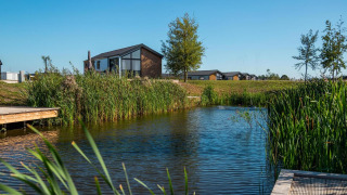 Tiny house genaamd Berkel aan een rustige vijver, omgeven door riet en bomen onder een blauwe lucht.