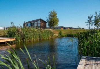 Tiny house genaamd Berkel aan een rustige vijver, omgeven door riet en bomen onder een blauwe lucht.