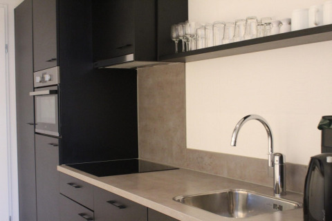 Cucina moderna di tiny house con mobili neri, forno, piano cottura, lavello e bicchieri su mensola in Olanda.