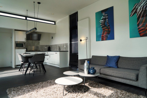 Moderne woonkamer en keuken in L-Cube lodge bij Spaarnwoude, Nederland, met stijlvolle inrichting en kunstwerken.
