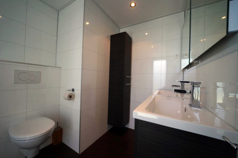 Moderne badkamer in L-Cube lodge in Spaarnwoude, Nederland, met hangtoilet en grote wastafel.