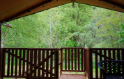 Blick von der Veranda eines Safarizelts auf Camping Pittoresque in Frankreich mit grünem Wald dahinter.