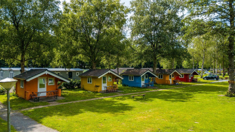 Cabañas de madera coloridas en un camping verde bajo árboles altos, perfectas para una experiencia glamping.