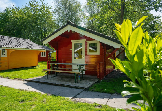 Cabañas glamping rojas y amarillas con porche y bancos, rodeadas de naturaleza verde y soleada.