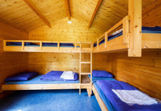 Knusse houten cabin met stapelbedden en blauw bedlinnen, ideaal voor glamping of outdoor verblijf.