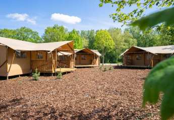 Safari-Glampingzelte auf einem hölzernen Waldboden, umgeben von grünen Bäumen an einem sonnigen Tag.