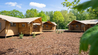 Tentes de glamping style safari avec terrasse en bois, entourées d’arbres et de forêt sous ciel bleu.