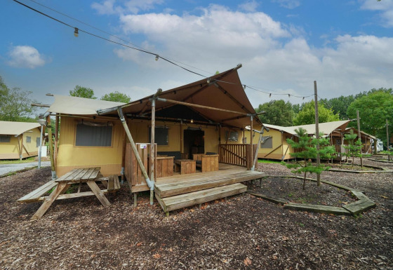 Lodge Glampingtent con tende spaziose, terrazza in legno e tavolo picnic immersi nella natura verde.