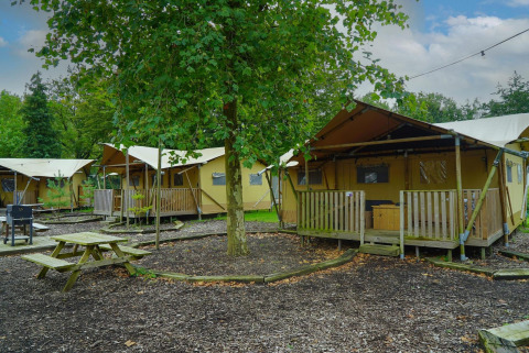 Tentes de glamping et grand arbre au Het Amsterdamse Bos aux Pays-Bas, avec espace pique-nique extérieur.