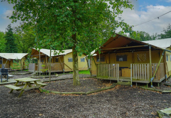 Tiendas de glamping y un árbol en Het Amsterdamse Bos, Países Bajos, con área exterior de picnic visible.