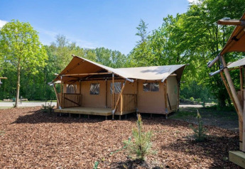 Glampingtelt ved Het Amsterdamse Bos i Holland, omgivet af træer og natur, set under en blå himmel.