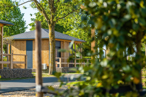 Foto van een knusse tiny house bij Poort van Maastricht, Nederland, omgeven door bomen en natuur.