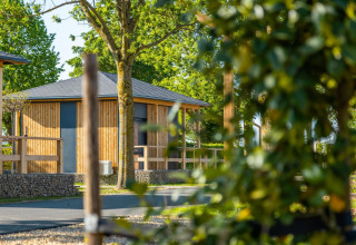 Foto di una accogliente tiny house a Poort van Maastricht, Paesi Bassi, circondata da alberi e verde naturale.