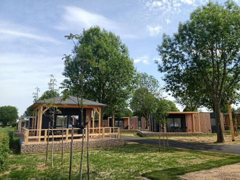 Tiny House bij Poort van Maastricht in Nederland, omgeven door bomen en groen onder een blauwe hemel.