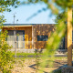Udsigt til en moderne træhytte ved Palisade Lodge, omgivet af træer og grøn beplantning i solskin.